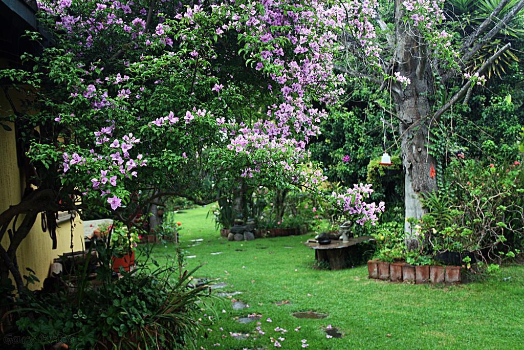 Hostal Saint Mary'S Tababela Exterior photo